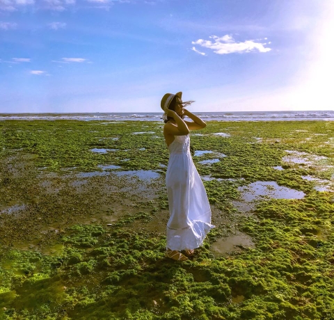 Cánh Đồng Rong Biển Đẹp Mê Ly Tại Ninh Thuận Đã Vào Mùa