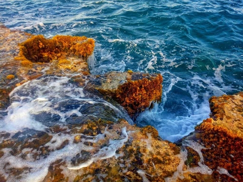 Đến Ninh Thuận dịp hè 2024, thỏa sức vẫy vùng với “nàng tiên cá ngủ say