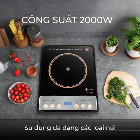 Bếp hồng ngoại YOAKE YK-IF930