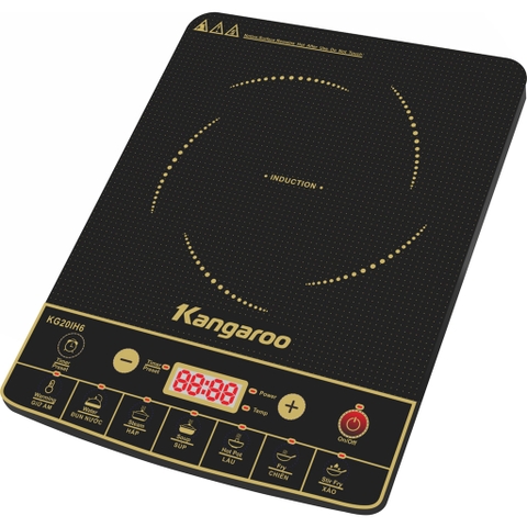 Bếp từ Kangaroo KG20IH6