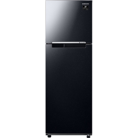 Tủ Lạnh SamSung Inverter RT25M4032BU/SV 264L