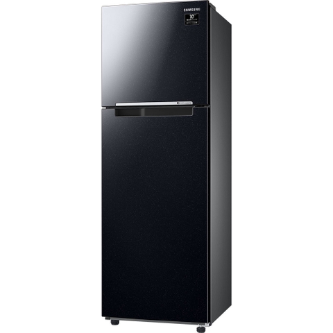 Tủ Lạnh SamSung Inverter RT25M4032BU/SV 264L