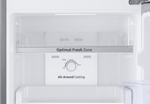 Tủ Lạnh SamSung Inverter RT25M4032BU/SV 264L