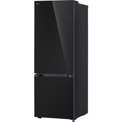 Tủ lạnh LG Inverter 335 lít LBB33BLGA