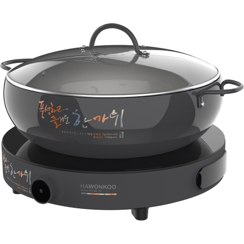Bếp từ đơn Hawonkoo CEH-101-I-GR