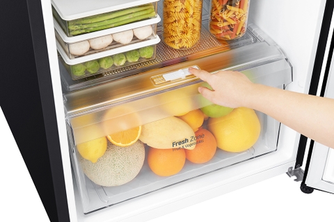 Tủ lạnh LG Inverter 209 lít GN-B222WB