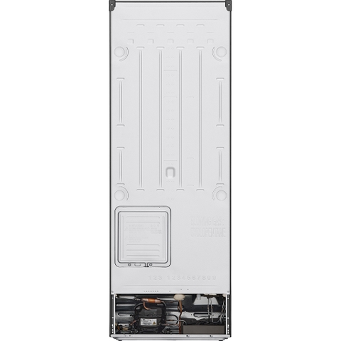 Tủ lạnh LG Inverter 243 lít GV-B242PS