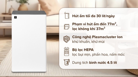 Máy hút ẩm Sharp DW-T30FV-W