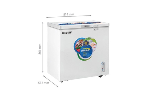 Tủ đông Hòa Phát 162 lít HCF 336S1Đ1