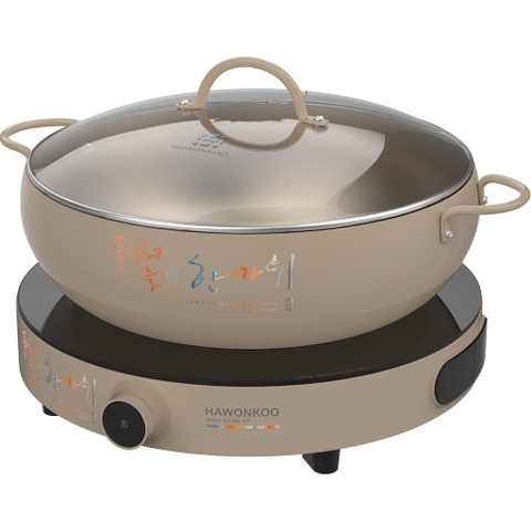 Bếp từ đơn Hawonkoo CEH-101-I-CF
