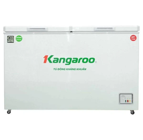 Tủ đông kháng khuẩn 252 lít KG252C2N