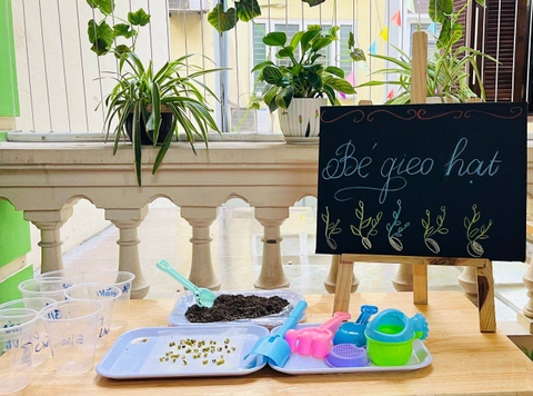 Gieo hạt mầm xanh cùng các bạn nhỏ Hệ thống mầm non Bách Việt