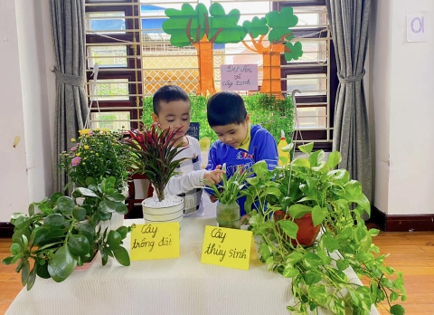 GIEO HẠT, TRỒNG CÂY, CHĂM SÓC CÂY XANH