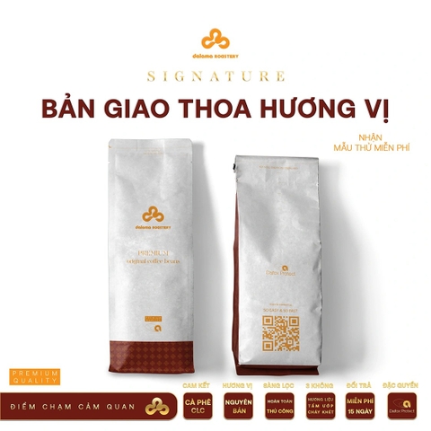 Robusta Yellow Honey S16+