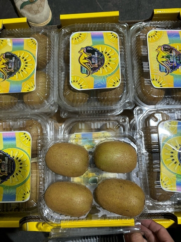 Kiwi vàng