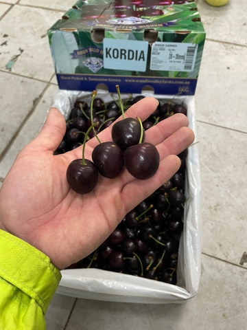 Cherry Úc Kordia
