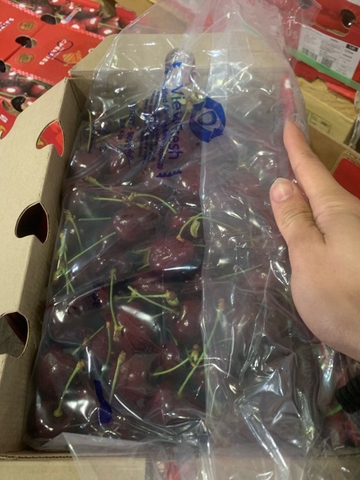 Cherry Chile Kordia