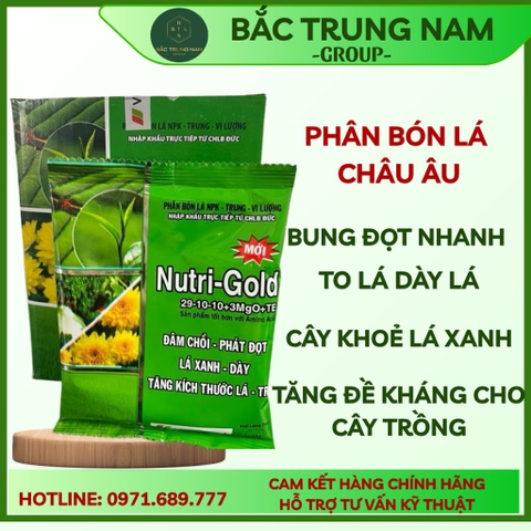 Phân bón Nutri Gold 29-10-10 gói 100gr phát chồi đọt , xanh lá phát triển cây