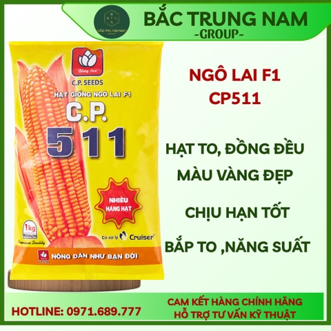 HẠT GIỐNG NGÔ LAI F1_ C.P.511