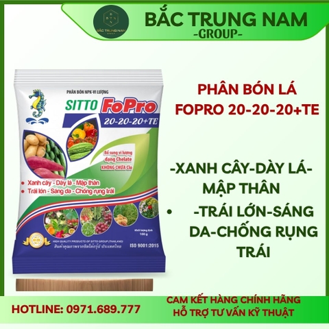 Phân bón lá NPK hòa tan Sitto FoPro 20-20-20+TE gói 100g