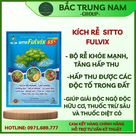 Kích rễ SITTO FULVIX (gói 100g)