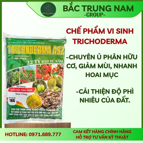 Chế phẩm vi sinh Trichoderma – Chuyên ủ phân hữu cơ, giảm mùi, nhanh hoai mục