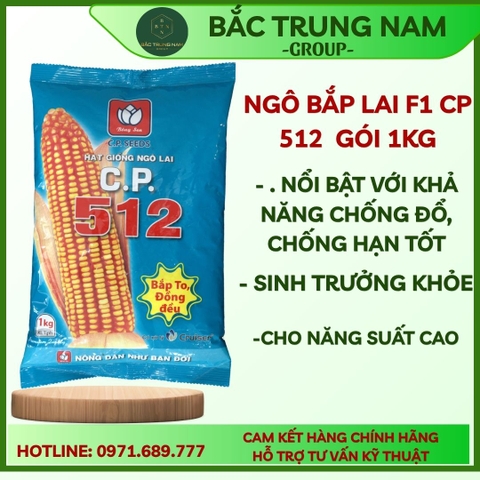 HẠT GIỐNG NGÔ  C.P. 512 - Bắp to, Đồng đều.