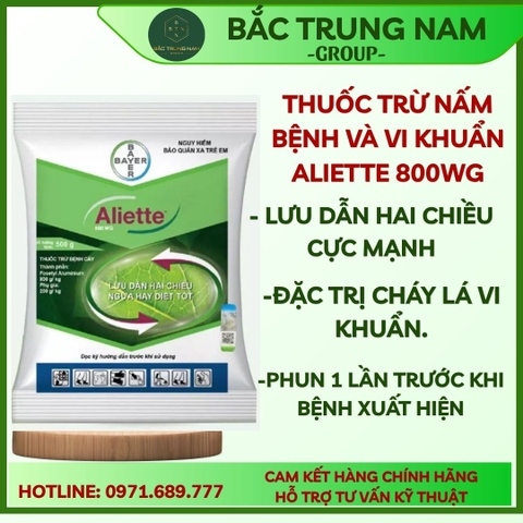 Thuốc Trừ Bệnh Thối Quả Aliette 800Wg 100G