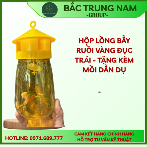 Lồng bẫy ruồi vàng 1L hũ bắt côn trùng kèm thuốc dẫn dụ hàng chính hãng