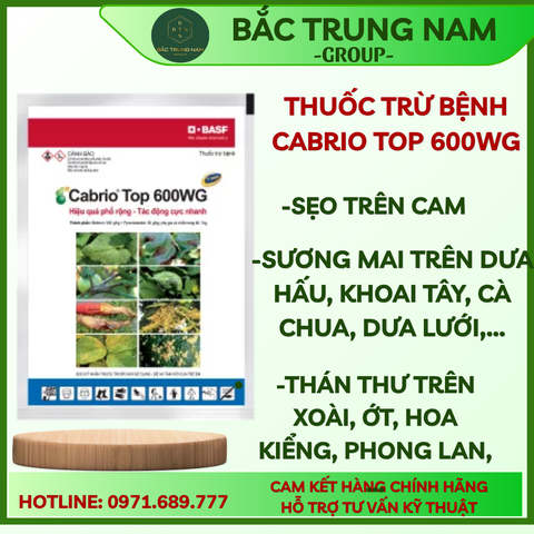 Thuốc Trừ Bệnh Cabrio Top 600WG ( Gói 100g )