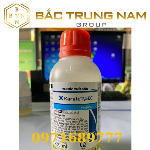 Thuốc Trừ Sâu Karate 2,5EC Syngenta chai 250ml - Phòng trừ sâu, bọ xít muỗi hại cây trồng (Green City)