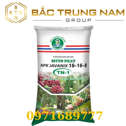 SITTO PHAT TN1 ( JAVANIX 16-16-8) (Bao 50kg)