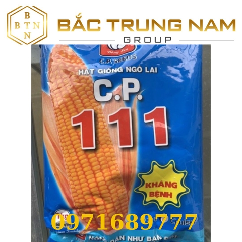 HẠT GIỐNG NGÔ LAI C.P.111