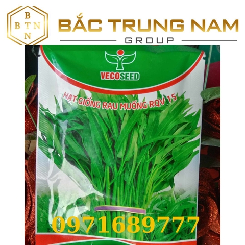 Hạt Giống Rau Muống RQV lá tre 50g