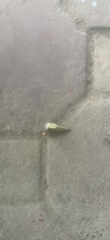 Đầu béc bơm ộp gạch