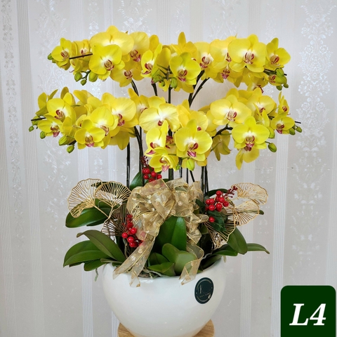 L4 Thiết kế Truyền Thống