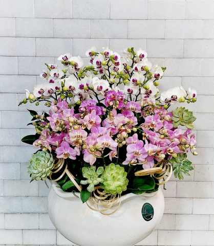 L1 Thiết kế Sang Trọng