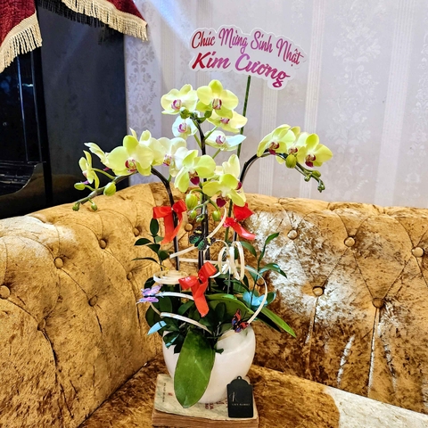 L3 Thiết kế Truyền Thống