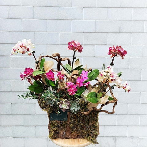 L8 Thiết kế Sang Trọng