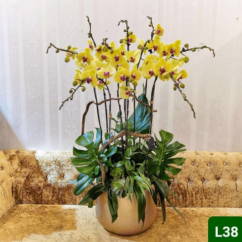 L38 Thiết kế Sang Trọng