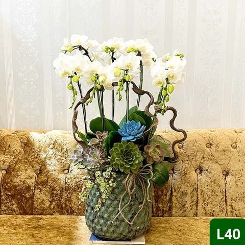 L40 Thiết kế Sang Trọng