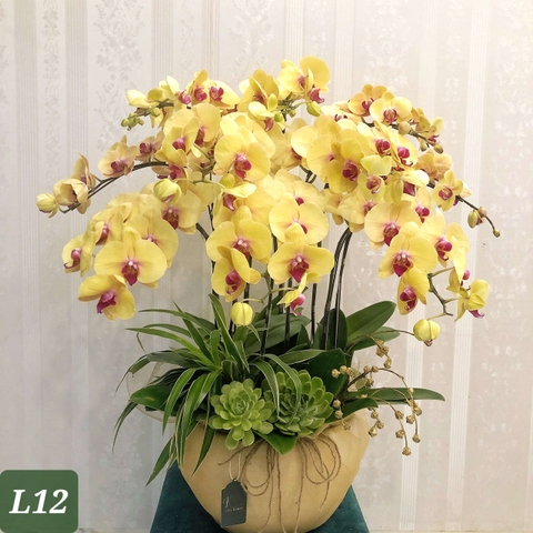 L12 Thiết kế Sang Trọng