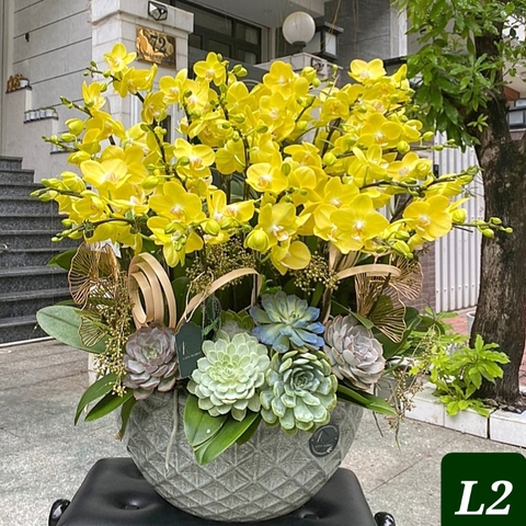 L2 Thiết kế Sang Trọng