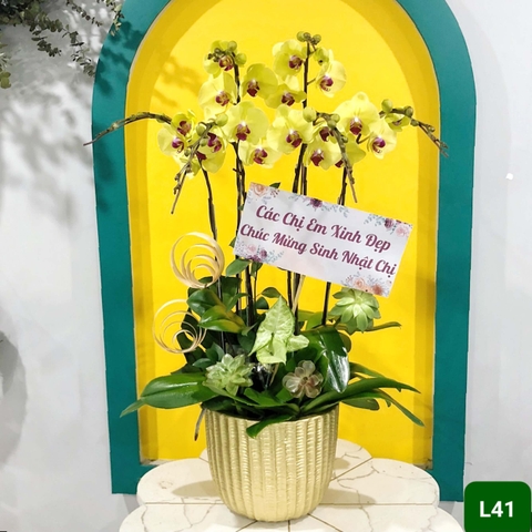 L41 Thiết kế Sang Trọng