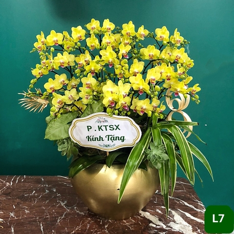 L7 Thiết kế Sang Trọng