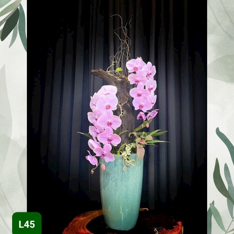 L45 Thiết kế Sang Trọng