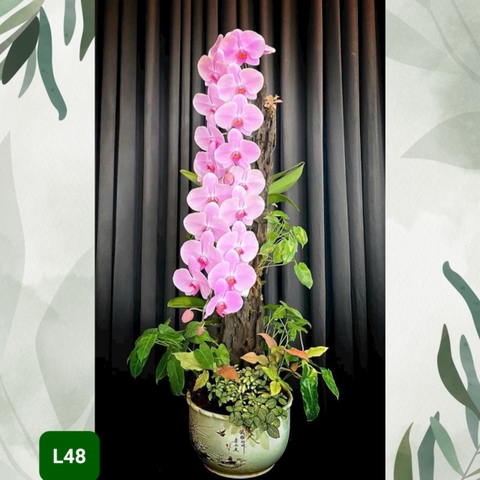 L48 Thiết kế Sang Trọng