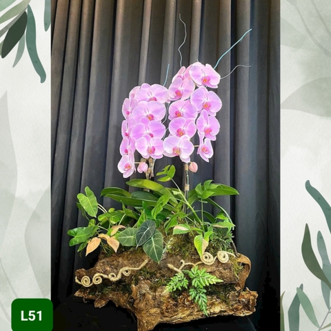 L51 Thiết kế Cao Cấp