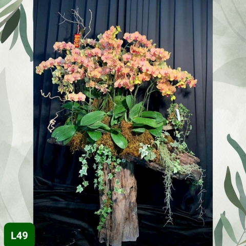 L49 Thiết kế Cao Cấp