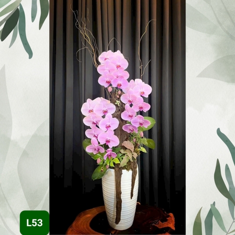 L53 Thiết kế Sang Trọng